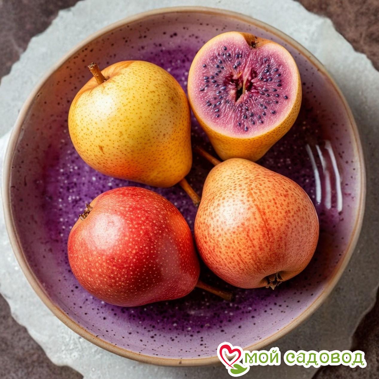 Груша Блютберн